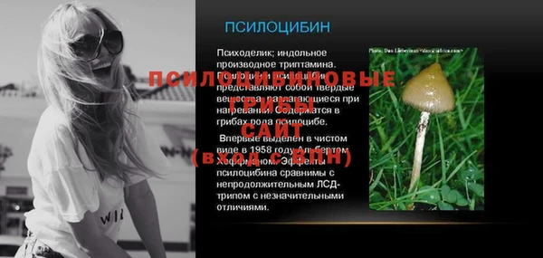 круглые Белокуриха