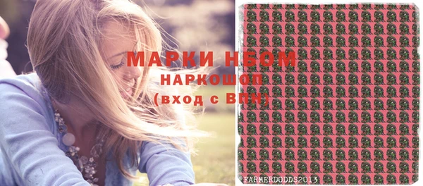 индика Беломорск