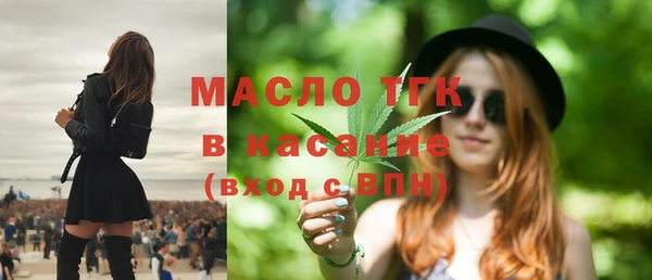индика Беломорск