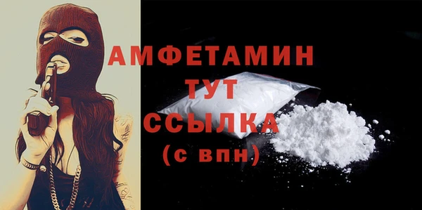 индика Беломорск