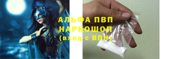 круглые Белокуриха