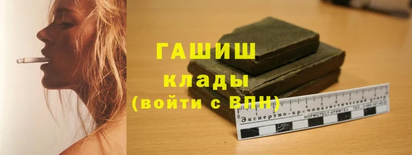 индика Беломорск