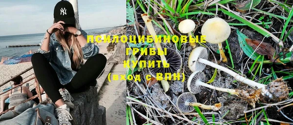 индика Беломорск