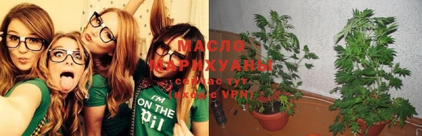 индика Беломорск