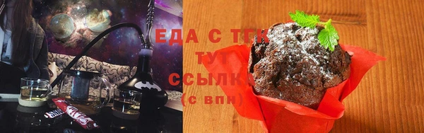 индика Беломорск